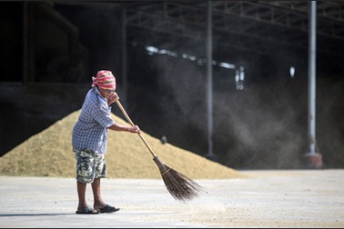 Sẽ có một cuộc chiến giá gạo ở châu Á?