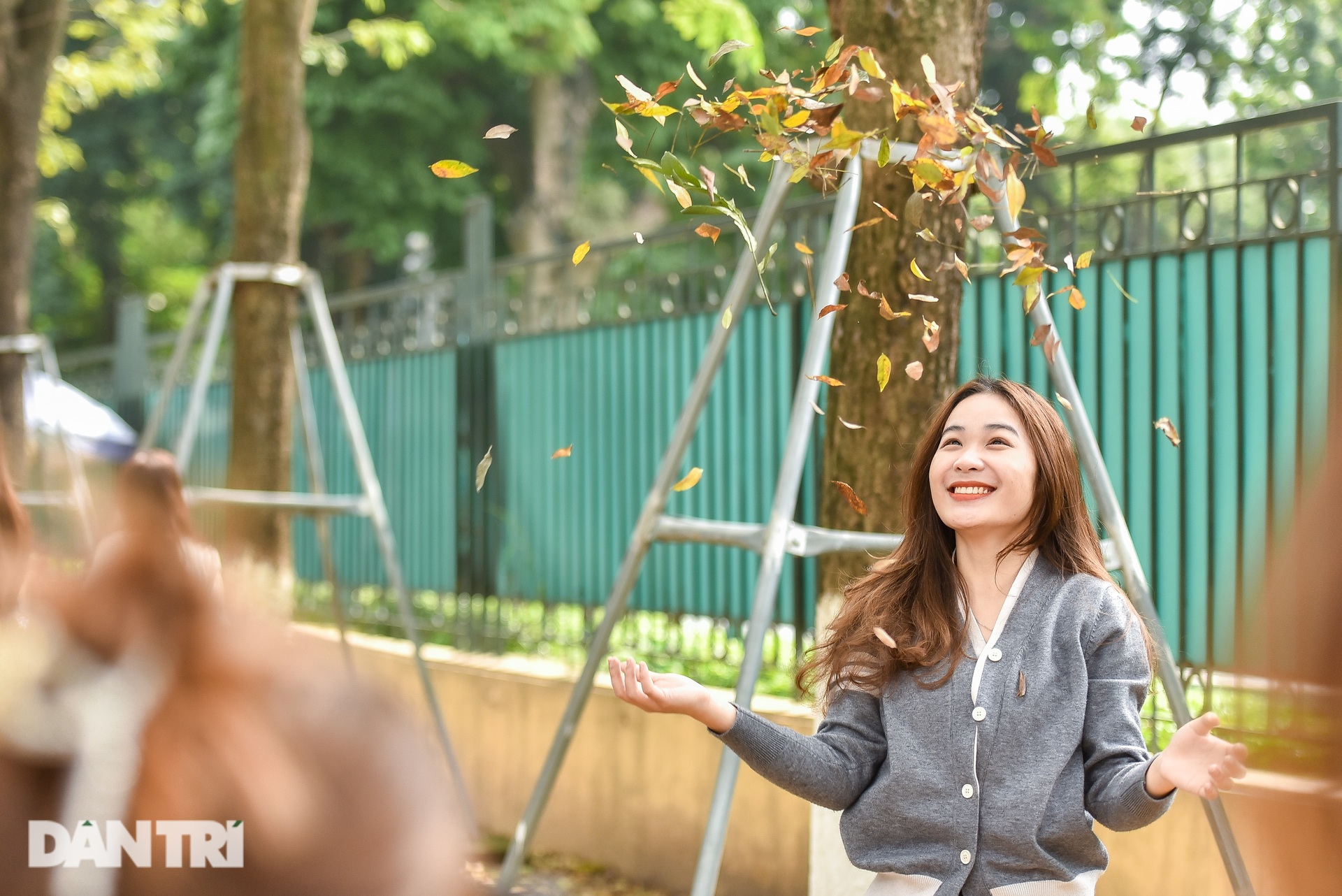 Du khách xếp hàng chụp lá vàng rơi ở góc phố Hà Nội - 10 Du khách xếp hàng chụp lá vàng rơi ở góc phố Hà Nội - 10
