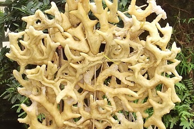 Bánh gừng - món ăn “thủy chung” của dân tộc Chăm và Khmer