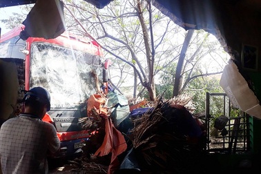 Tránh đàn bò thả rông trên đường, xe khách húc sập nhà dân