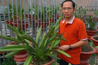 Nghệ nhân trồng lan Phạm Tấn Ny chia sẻ bí kíp chăm hoa bền đẹp, ít sâu bệnh