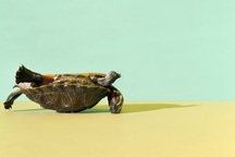 Ba chiếc bẫy chết người khiến nhân viên "mất lửa"