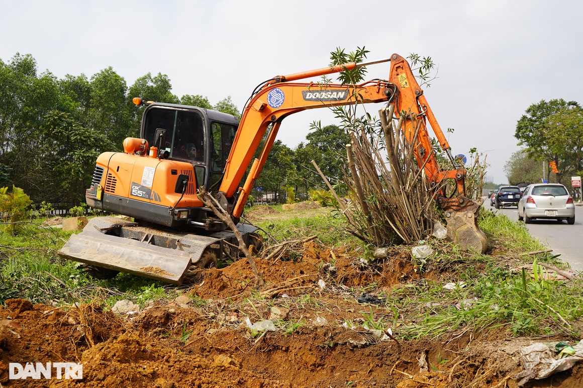 Di dời hàng trăm cây xanh, mở rộng đường gom Đại Lộ Thăng Long - 7 Di dời hàng trăm cây xanh, mở rộng đường gom Đại Lộ Thăng Long - 7
