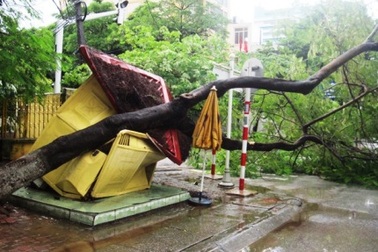 Cây cổ thụ đổ đè bẹp bốt CSGT