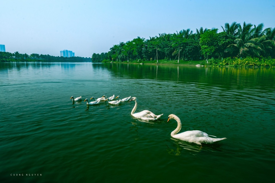 Có gì đặc biệt trong toà tháp đôi cao cấp nhất Ecopark, sở hữu hồ cảnh quan hơn 50 ha? - 7 Có gì đặc biệt trong toà tháp đôi cao cấp nhất Ecopark, sở hữu hồ cảnh quan hơn 50 ha? - 7