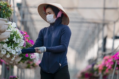 Chăm sóc vườn hoa