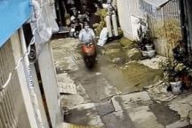 Kẻ cướp điện thoại của bé trai 9 tuổi ở TPHCM bị bắt