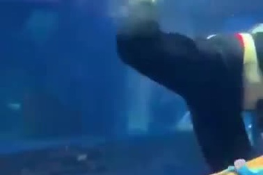 "Nàng tiên cá"co giật gần 5 phút dưới đáy bể mới được cứu