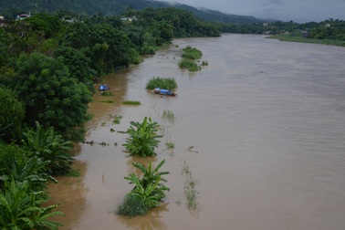 Lũ sông Hồng dâng cao, quét sạch hoa màu