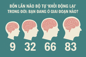 4 lần não bộ tự khởi động lại trong đời: Bạn đang ở giai đoạn nào?