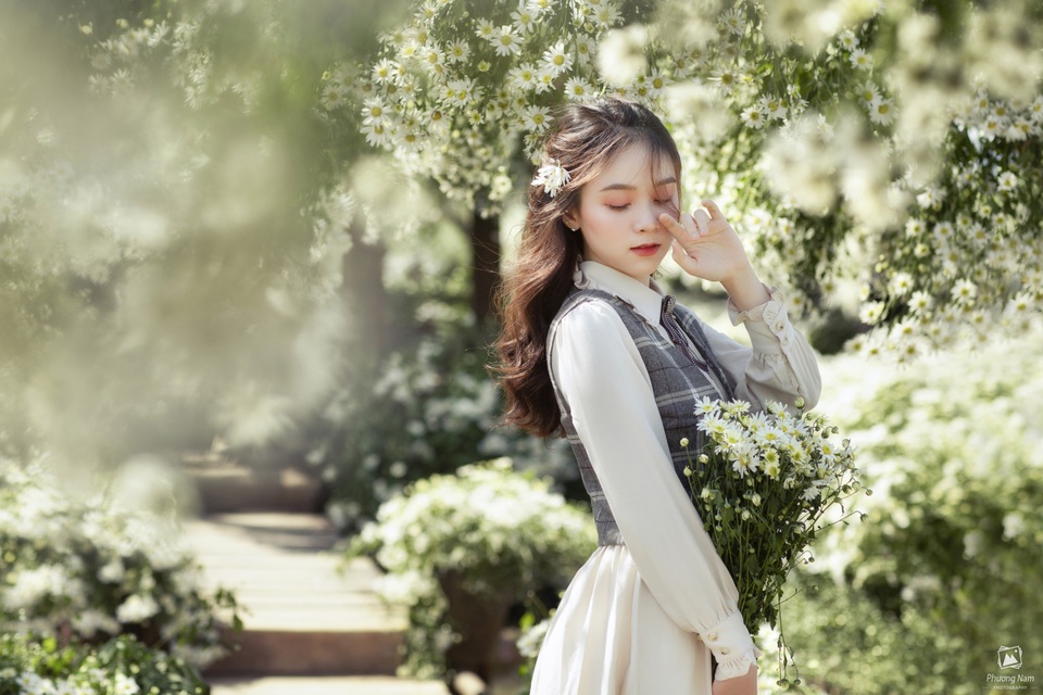 Thiếu nữ Hà thành đọ sắc với loài hoa báo hiệu mùa đông Hà Nội - 8 Thiếu nữ Hà thành đọ sắc với loài hoa báo hiệu mùa đông Hà Nội - 8