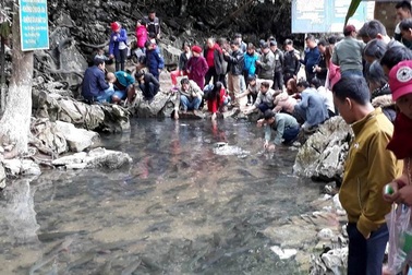 Một tháng thu gần 500 tỷ đồng từ ngành "công nghiệp không khói"