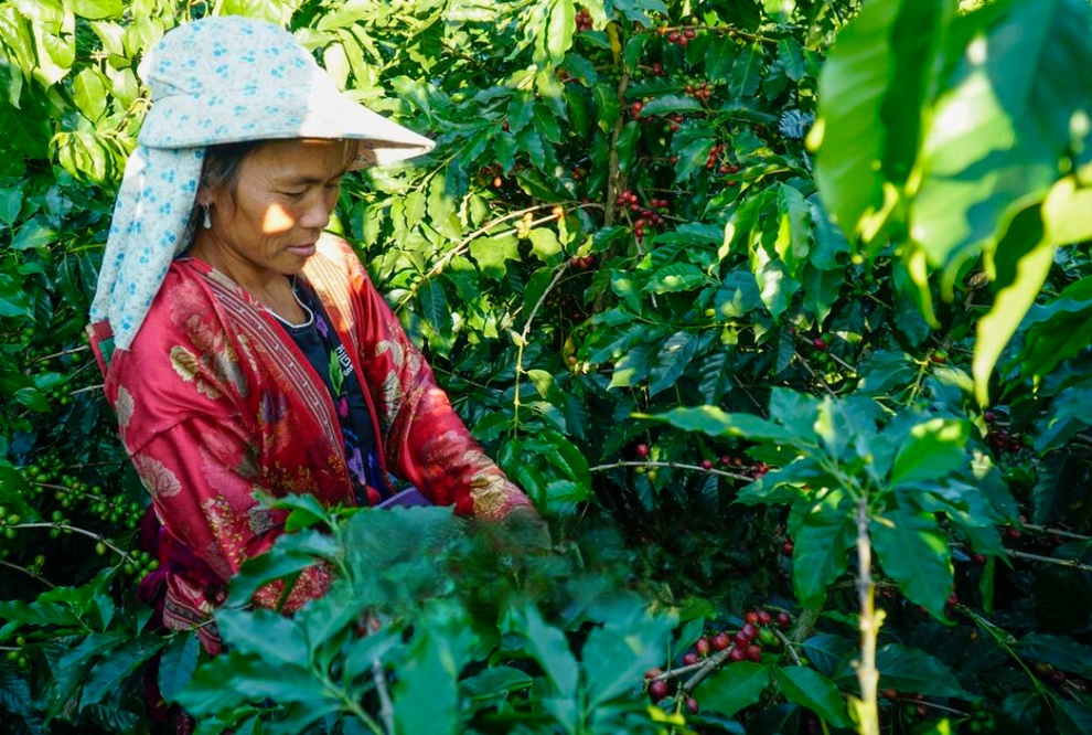 Điện Biên: Trao cần câu để phụ nữ vươn lên thoát nghèo - 1