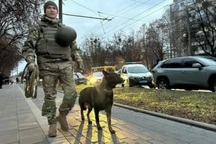 Ukraine cáo buộc Nga đứng sau hàng loạt vụ đánh bom trung tâm tuyển quân