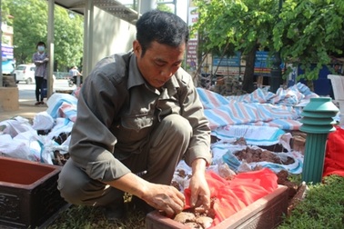 Chuyển 181 bộ hài cốt trước cổng trường ĐH Công đoàn lên Ba Vì