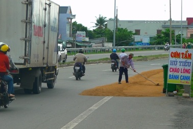 Ẩn hoạ từ việc phơi lúa trên quốc lộ