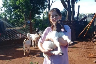 Nữ sinh trường nghề đưa gia đình thoát nghèo nhờ nuôi dê sạch