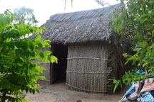 Hàng chục hộ dân chưa bao giờ biết ánh sáng của đèn điện: Vì địa phương không đề xuất?