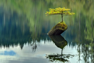 Chùm ảnh "thiên nhiên vượt khó" giúp bạn có thêm nghị lực cho cuộc sống