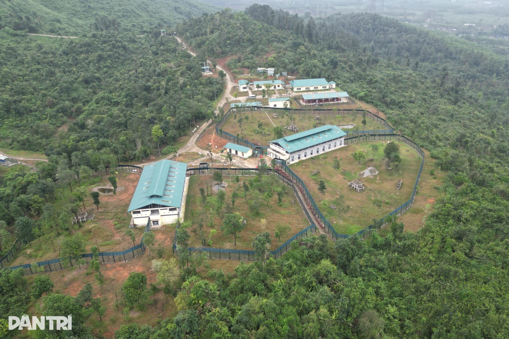 Mở rộng Trung tâm Cứu hộ gấu Việt Nam tại Vườn quốc gia Bạch Mã - 3 Mở rộng Trung tâm Cứu hộ gấu Việt Nam tại Vườn quốc gia Bạch Mã - 3