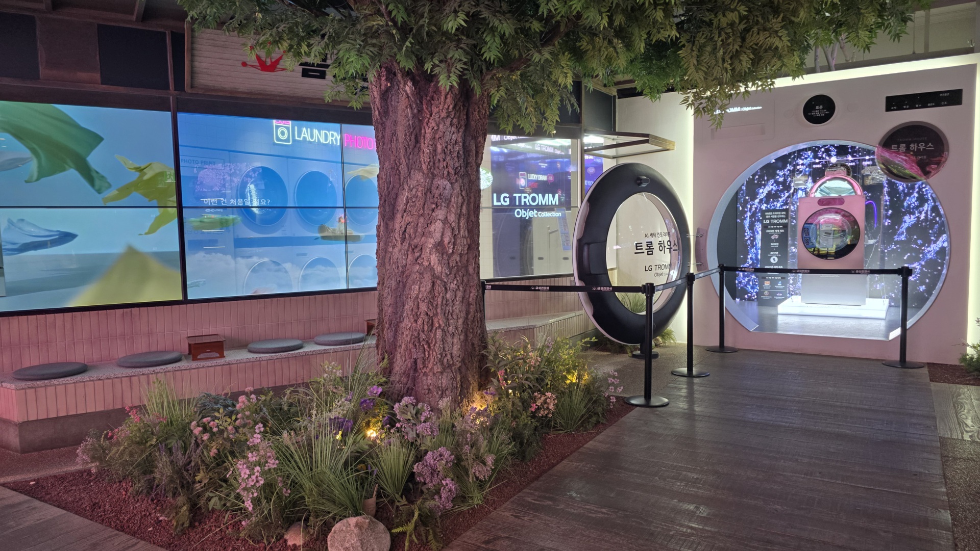Khám phá không gian chữa lành độc đáo của LG tại Seoul - 5 Khám phá không gian chữa lành độc đáo của LG tại Seoul - 5