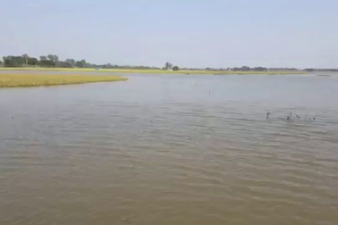 Người dân khốn đốn vì lúa đến vụ thu hoạch bị ngập lụt