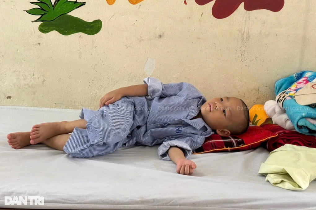 Ám ảnh tiếng khóc ngằn ngặt của bé trai 5 tuổi sống bằng máu người khác - 3 Ám ảnh tiếng khóc ngằn ngặt của bé trai 5 tuổi sống bằng máu người khác - 3