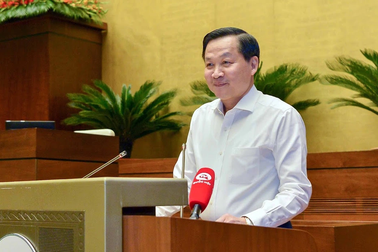 "Khuyến khích các tổ chức kinh tế tập thể tích tụ đất đai cho sản xuất"