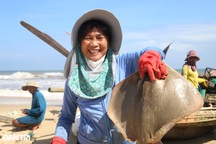 Những chuyến ra khơi "chớp nhoáng" mang về tiền triệu cho ngư dân