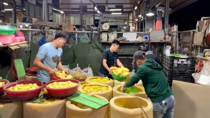 Hàng tấn măng ngâm hóa chất bị Công an phát hiện tại khu vực chợ đầu mối Bình Điền (TP.HCM). Ảnh: CA