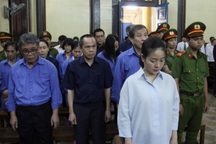 Luật sư đề nghị trả hồ sơ điều tra bổ sung vụ Hứa Thị Phấn