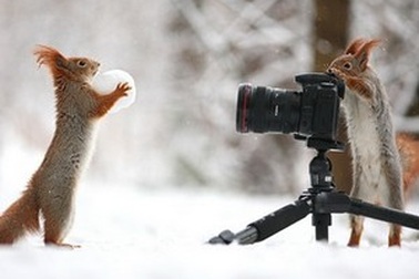 Những hình ảnh khoa học, tự nhiên ấn tượng tuần qua