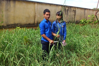 Ba thế hệ học sinh dân tộc thiểu số chế tạo sản phẩm từ cây dại trong vườn