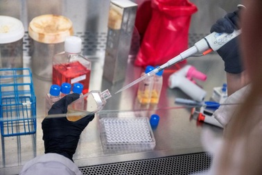 Thử nghiệm vaccine ngăn ung thư đại trực tràng từ giai đoạn đầu tại Mỹ