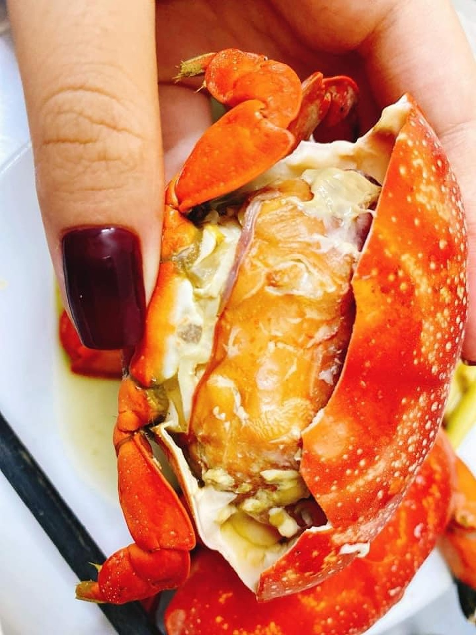 Ăn như cua hoàng đế, cả cân chưa được 1 lạng thịt chị em vẫn tranh mua - 5 Ăn như cua hoàng đế, cả cân chưa được 1 lạng thịt chị em vẫn tranh mua - 5