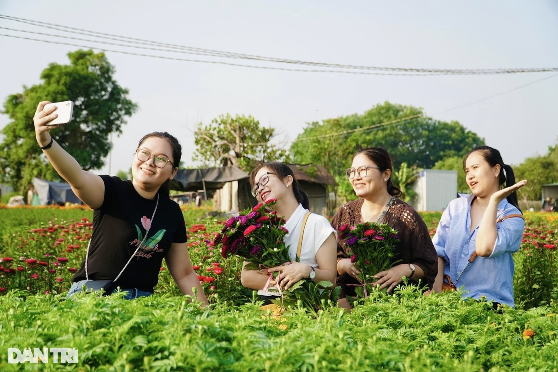 Người dân tiếc nuối khi làng hoa lớn nhất Bình Dương không còn - 7
