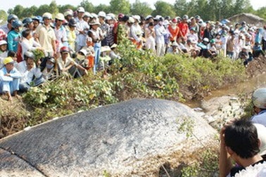 Chôn nguyên xác cá ông 15 tấn không thành