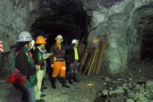 Xin thôi chức chủ tịch, đi đòi nợ đại gia vàng Bồng Miêu