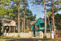 Khám phá Kon Tum: Vùng đất Tây Nguyên đặc sắc!