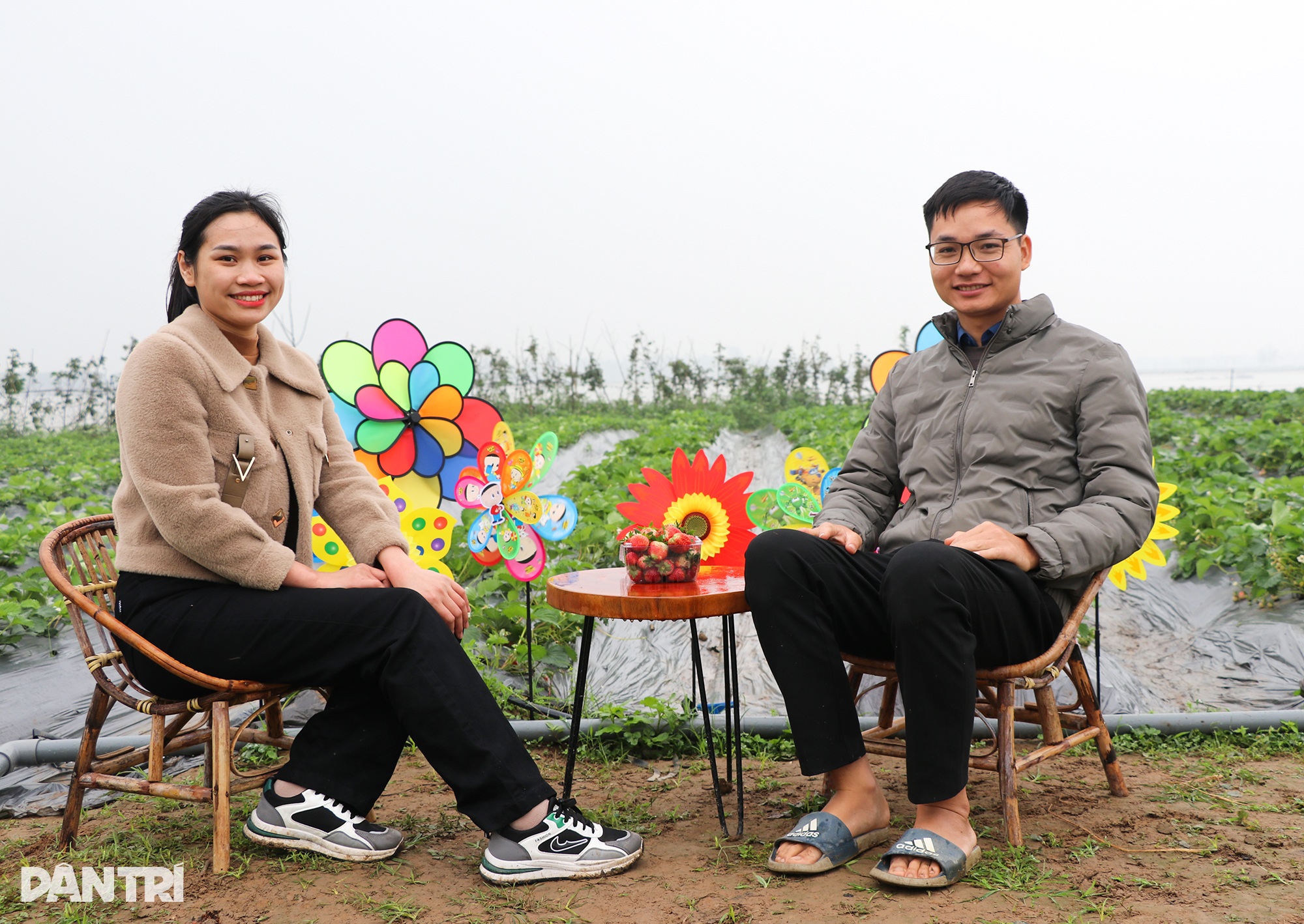 Trồng cây quý tộc ở bãi bồi, bán một quả bé xíu bằng giá 2-3 bắp cải - 8 Trồng cây quý tộc ở bãi bồi, bán một quả bé xíu bằng giá 2-3 bắp cải - 8