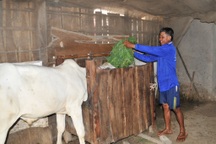 "Anh Đoàn Ngọc Hải đòi tiền đúng ngày nghỉ nên chúng tôi chưa thể trả ngay"