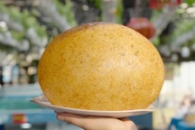 Món ăn ở TPHCM khiến đầu bếp Mỹ ngỡ ngàng: "Thú vị nhất tôi từng thấy"