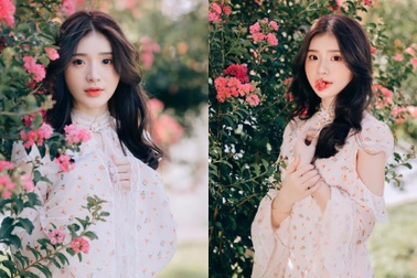 Nữ sinh Kinh Công hóa nàng thơ giữa rừng hoa tường vi