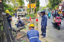 Tạm dừng đào đường tại TPHCM dịp đại lễ 30/4