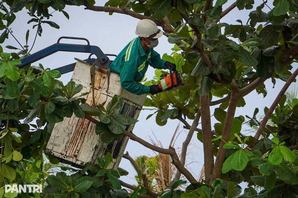Bão Nongfa áp sát, miền Trung nơi mưa trắng trời, chỗ đã cấm biển - 4 Bão Nongfa áp sát, miền Trung nơi mưa trắng trời, chỗ đã cấm biển - 4