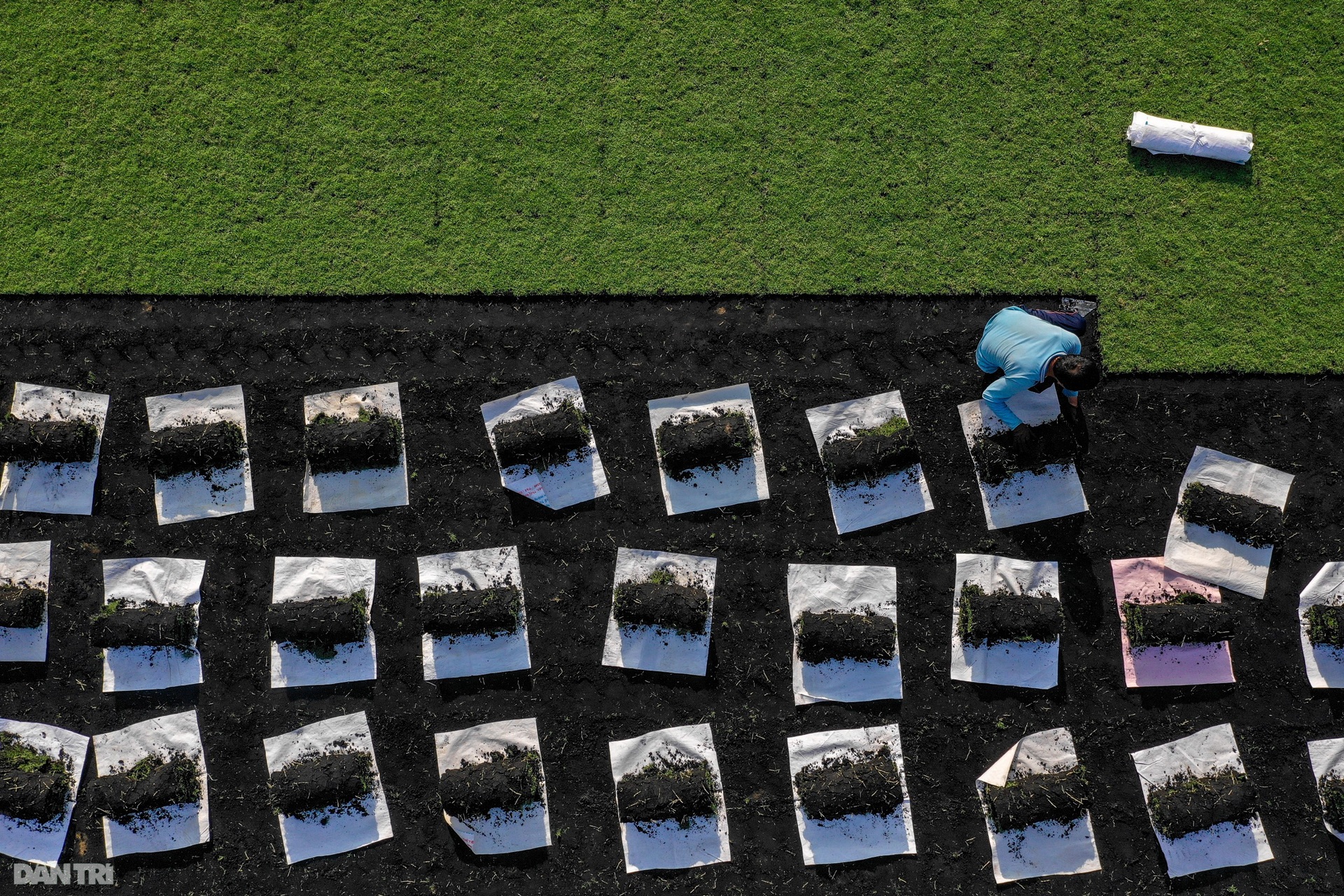 Làng hoa lớn nhất miền Tây vào vụ Tết - 14