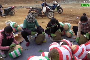 Người dân cọ mít kiếm tiền ở cửa khẩu Lạng Sơn ngày Trung Quốc đóng biên