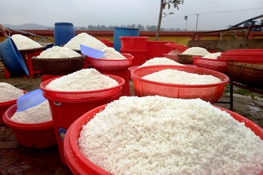 Chiếc bánh dày “khổng lồ” nặng hơn 2 tấn