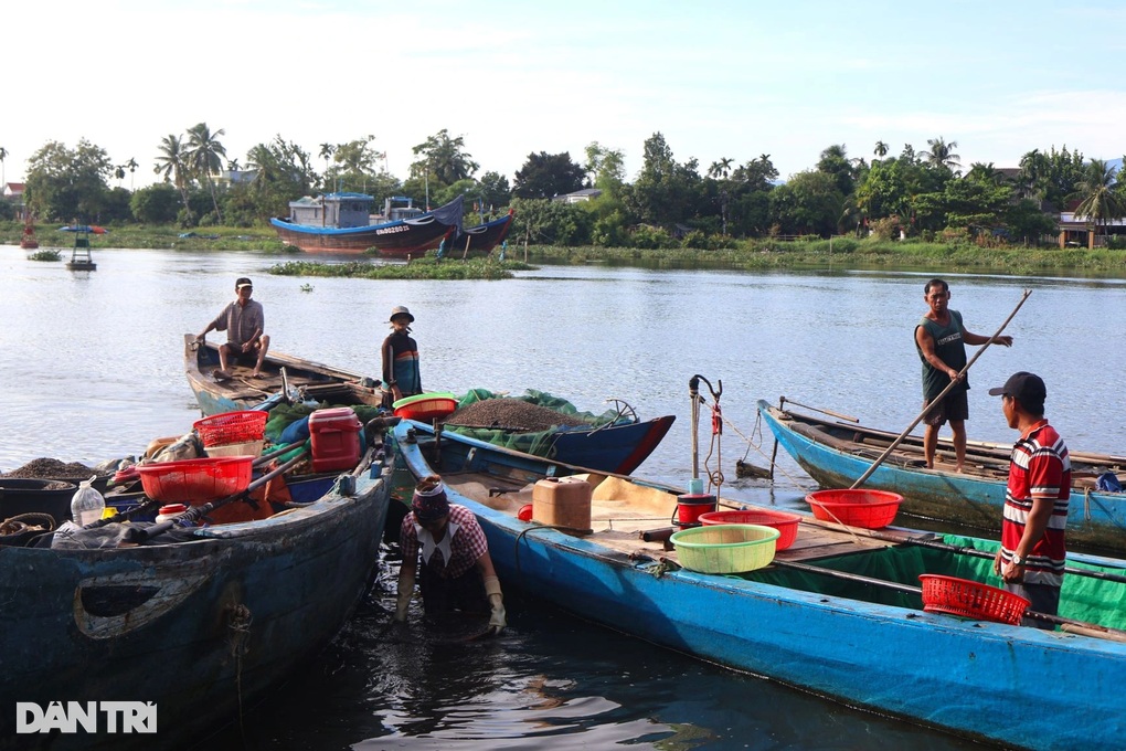 Làm giàu từ nghề đảo hến ở làng Tân Phú Quảng Nam