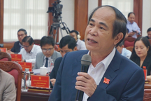 Ông Võ Ngọc Thành thôi làm đại biểu HĐND tỉnh Gia Lai vì lý do sức khỏe